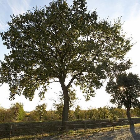 Agriturismo Lucerna Del Lago Prile Castiglione della Pescaia Bagian luar foto