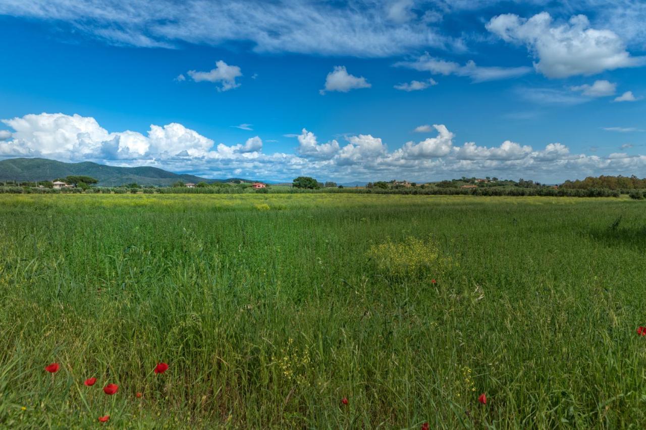 Agriturismo Lucerna Del Lago Prile Castiglione della Pescaia Bagian luar foto
